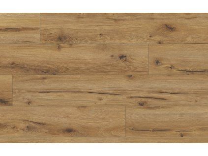 Classen Arteo 8M Dub Erg 62750
