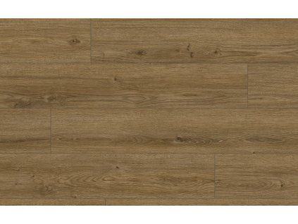 Classen Arteo 8M Dub Kotor 62755