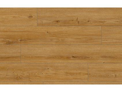 Classen Arteo 8M Dub Makan 62756