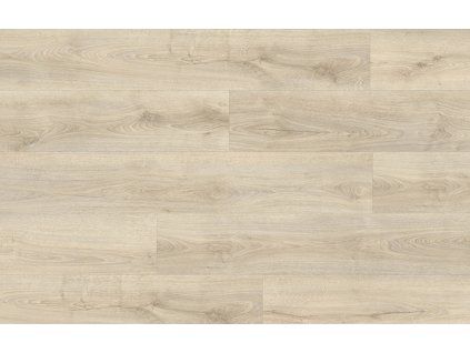 Divino Dub Kentucky 83273