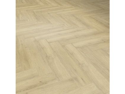 sunny nature 4330997 16031