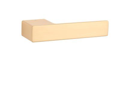 ASG - LUDISIA - RT