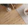 Classen Ceramin 62537 Pro Nature Barranquilla interier 1