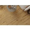 Classen Ceramin 62541 Pro Nature Soacha interier 2