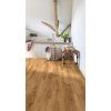 Divino Dub Kentucky 83853 interier