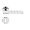 LI - CAVITY 1726 - R 025