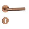 SH - OVAL - R 1742 PRO
