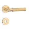 SH - OVAL - R 1742 PRO