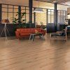 2542300010410 0.jpg