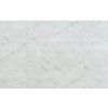 arbiton amaron forma braga silver CAF 250