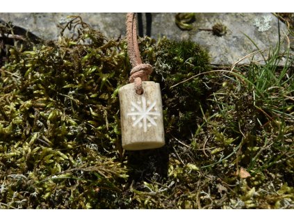 Ochranný pohanský amulet z paroží ručně rytý Aett