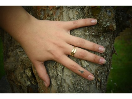 Anglosaský prstýnek z mosazi, ručně vyrobený. Prsten je inspirovaný nálezy z Anglie (Lancashire, Cumbria). Určeno pro anglosasy a kelty. Použitelné pro celý ranný středověk. Dámský středověký prsten.