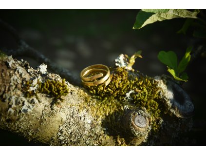 Vikingský prstýnek z mosazi - coil ring. PAGANIA.CZ