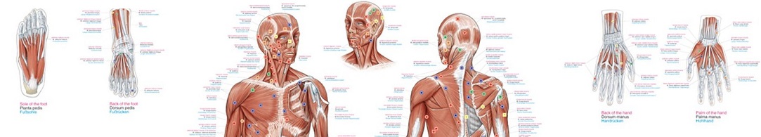 pain_points_1083