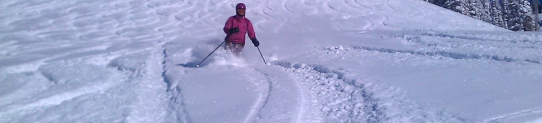 Powder-Skiing1084x246