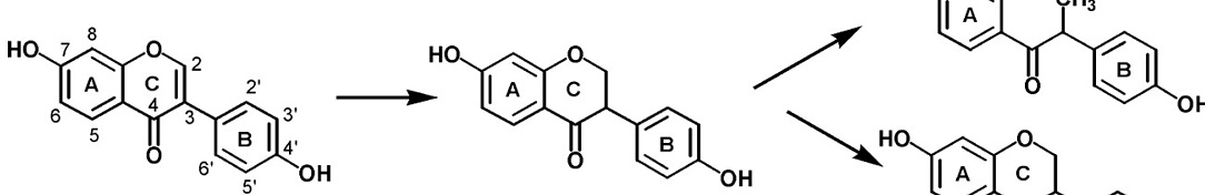 biological_effect1084x176