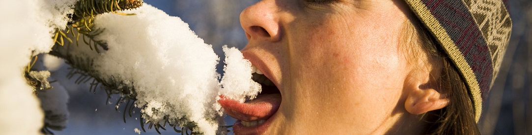 eating_snow1083x276