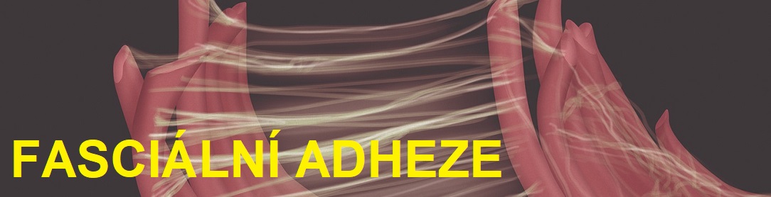 fascial_adhesionsCZ1084x278