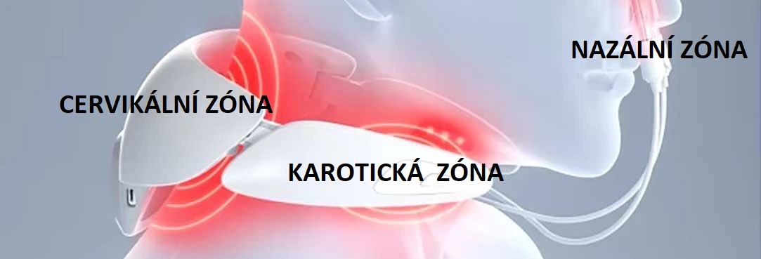 cervishinedual_CZ1083x428