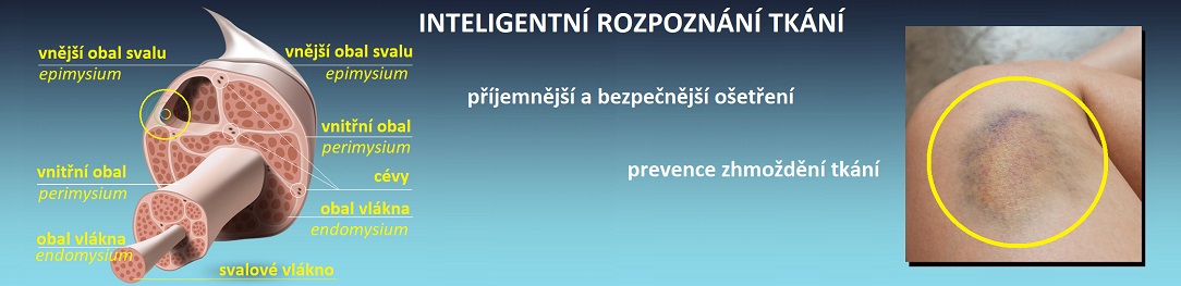 ImproperTreatmentCZtxt_1084x263