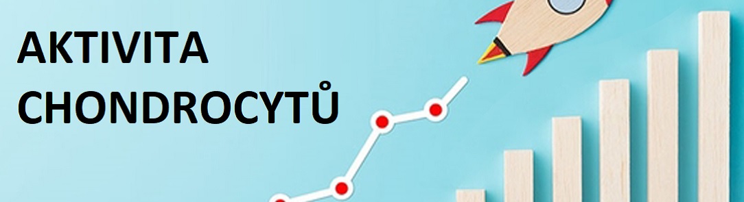 AKTIVITA_CHONDROCYTÚ1084x295