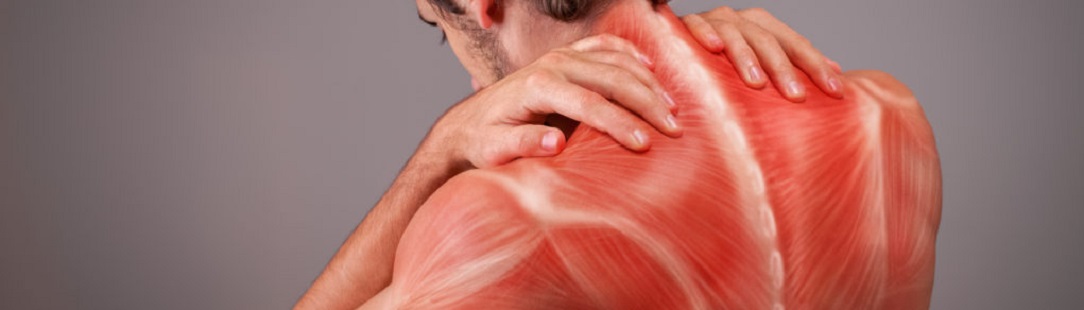 MyofascialPainUppeerBack1084x310