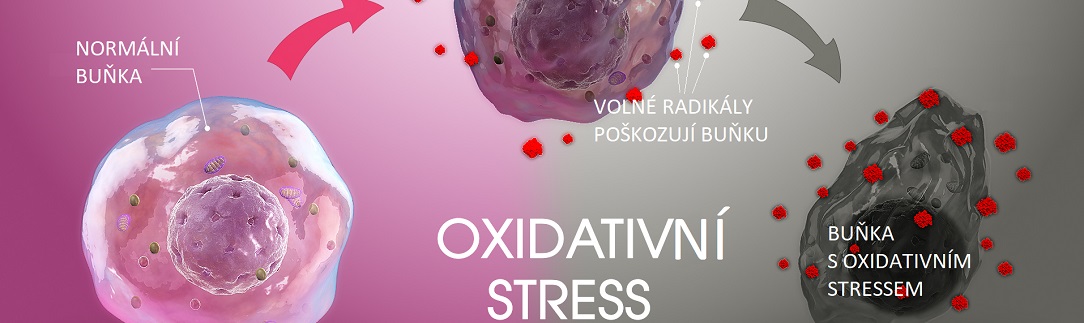 RLT_Oxidative_Stresscz1084X323