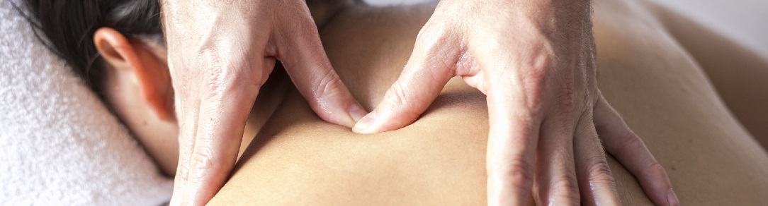TP_palpation1084x292