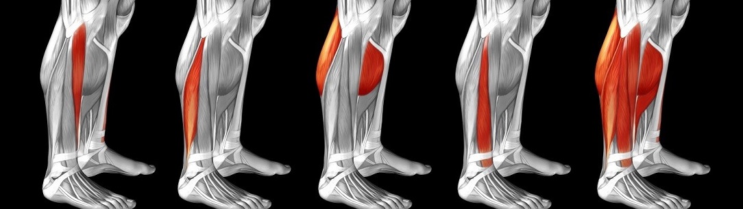 achilles_tight_calf_1084x306