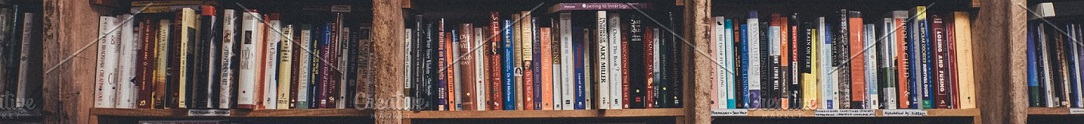 bookshelves1084x124