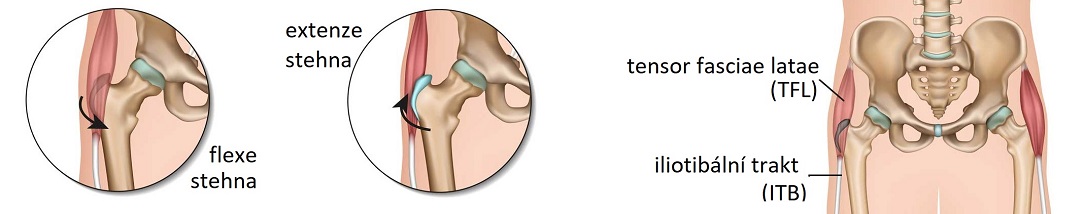 hip_snapping_1084x214