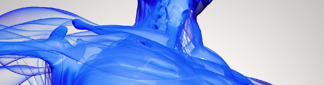 shock_wave_body1084x284