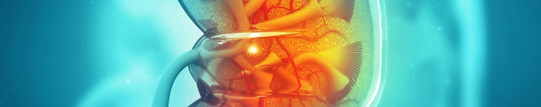 shock_wave_kindey1083x216