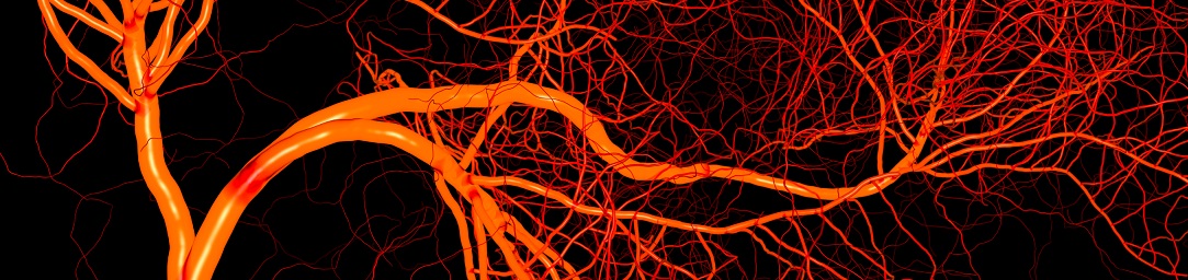 neoangiogenesis_1083x256