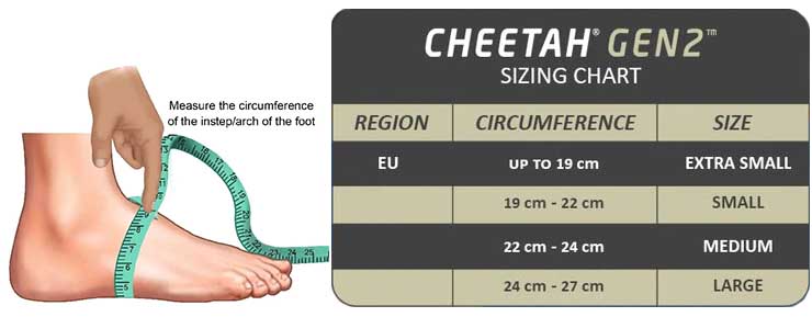 CheetahG2_meas