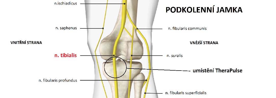 TheraPulse_poplitea1083x386