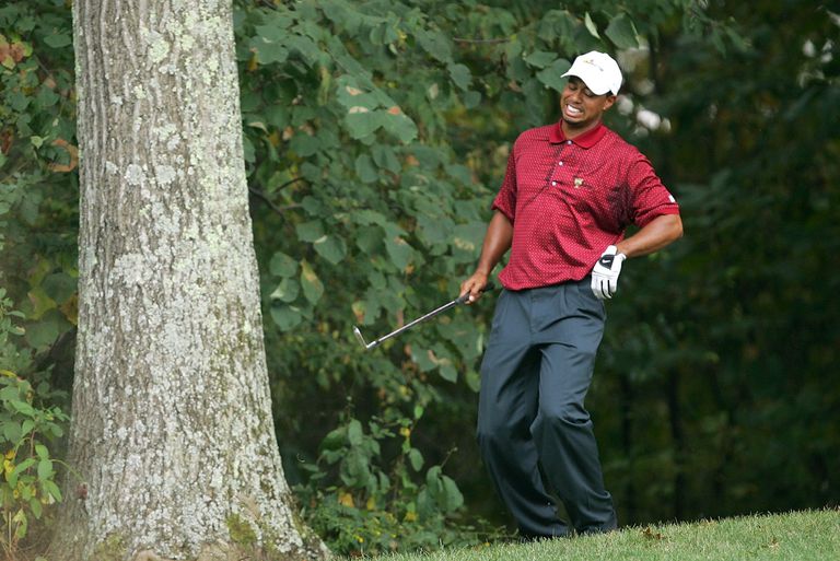 tiger-winces-back-pain-587bc8dc5f9b584db3c3a965