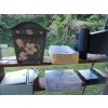 Painted Mailbox - garden flowers 006