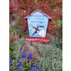Painted Mailbox - animals 034