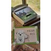 Bemalter Briefkasten - Wiesenblumen 010