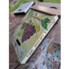 Painted Mailbox - garden flowers 013
