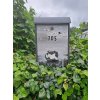 Bemalter Briefkasten - tiere 011