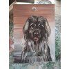 Painted Mailbox - animals portrait 042
