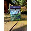Painted Mailbox - forest and trees 013