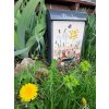 Painted Mailbox - meadow flowers 044