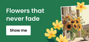 category_banner_big_mobile