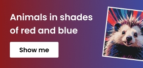 category_banner_big_mobile