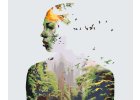 Painting by Numbers - Double Exposure