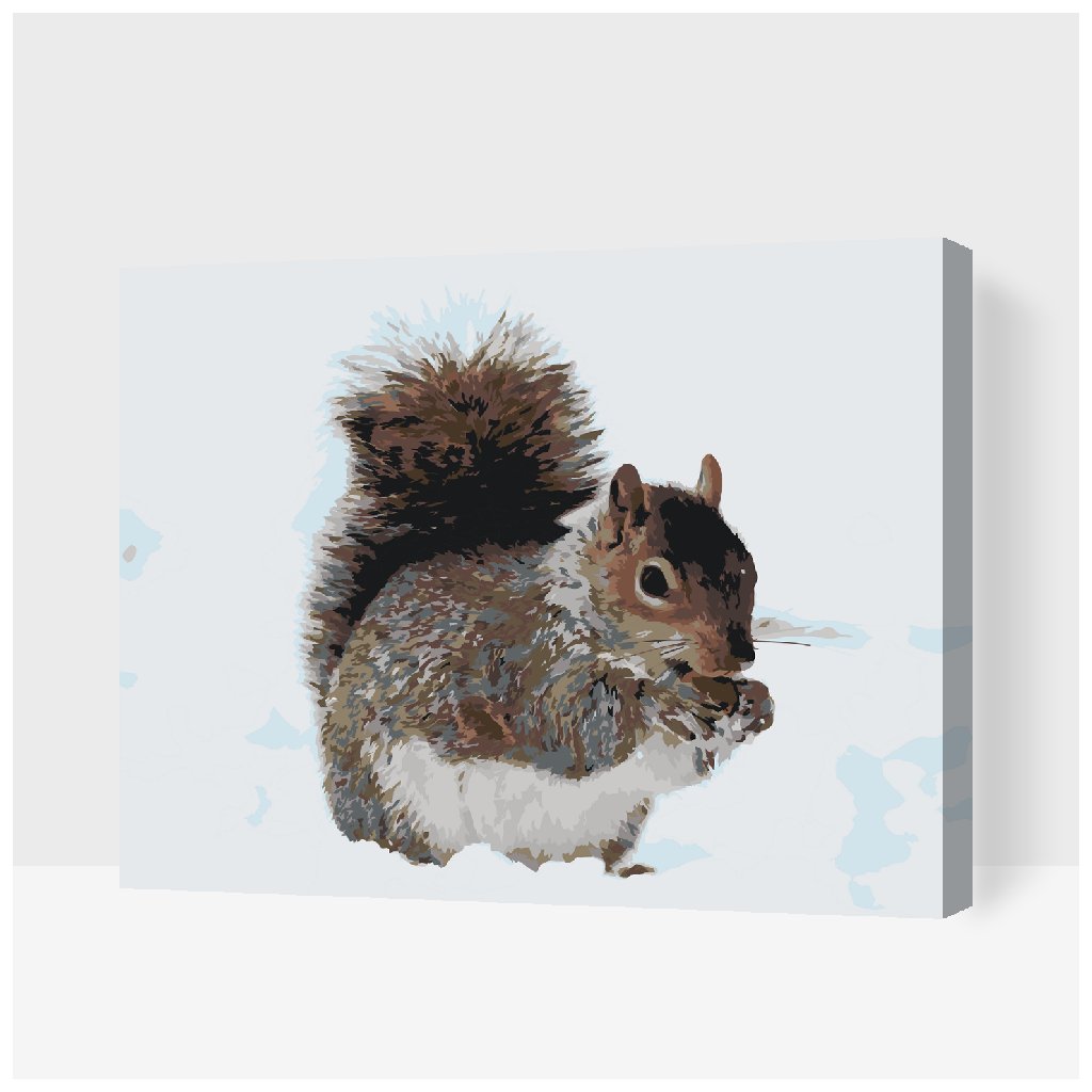Paint by Number - Squirrel with a Nut