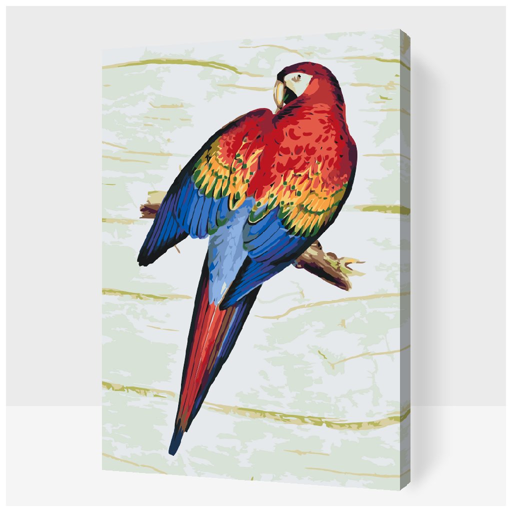 Paint by Number - Vintage Parrot 2